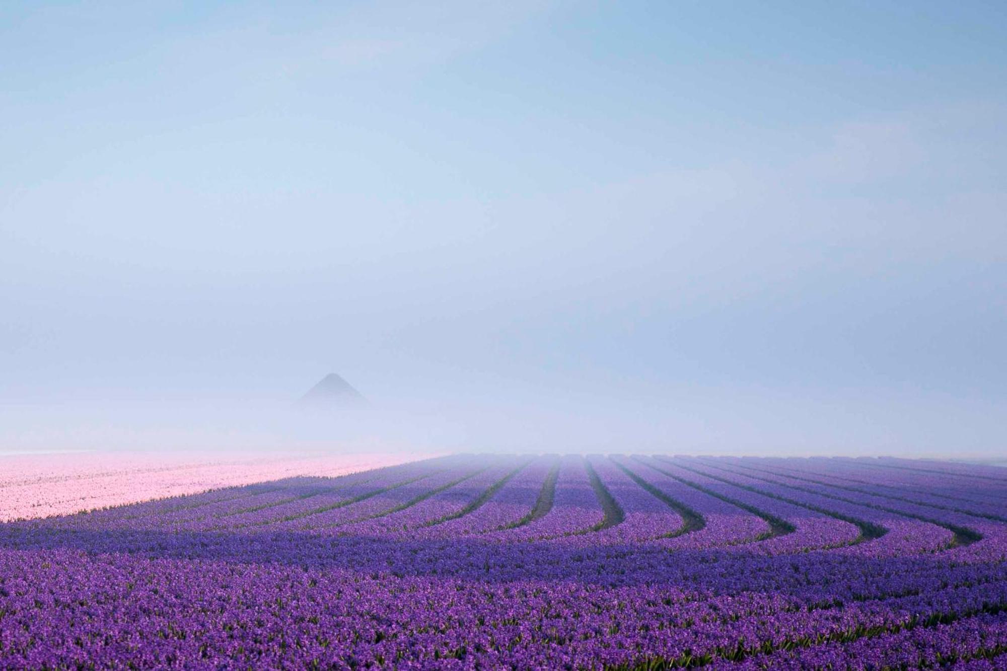 Vakantiehuisje Bloem 4 Personen Stolpen ภายนอก รูปภาพ