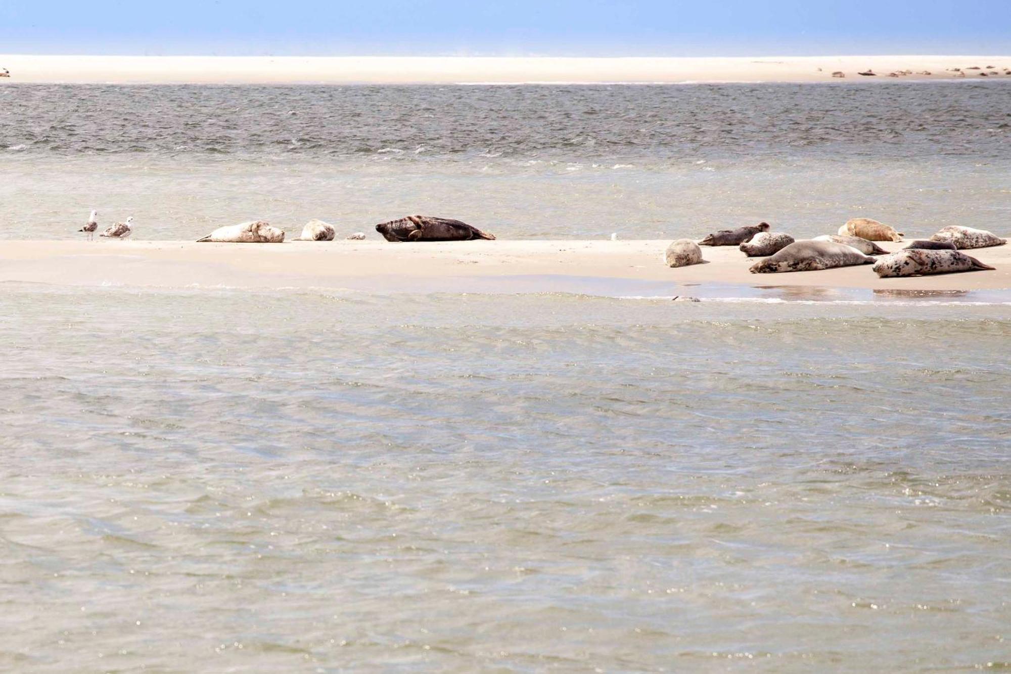 Vakantiehuisje Bloem 4 Personen Stolpen ภายนอก รูปภาพ