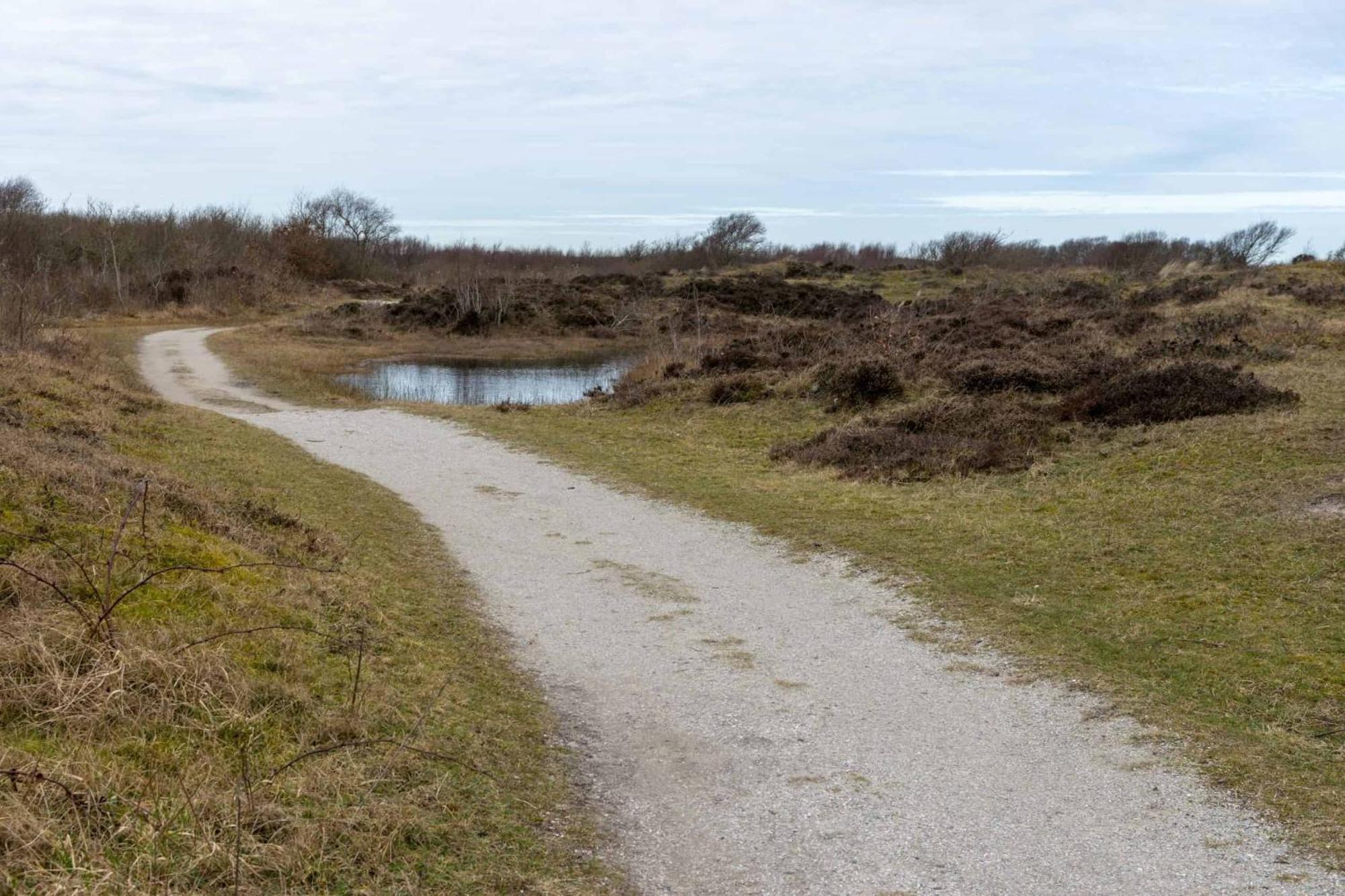 Vakantiehuisje Bloem 4 Personen Stolpen ภายนอก รูปภาพ