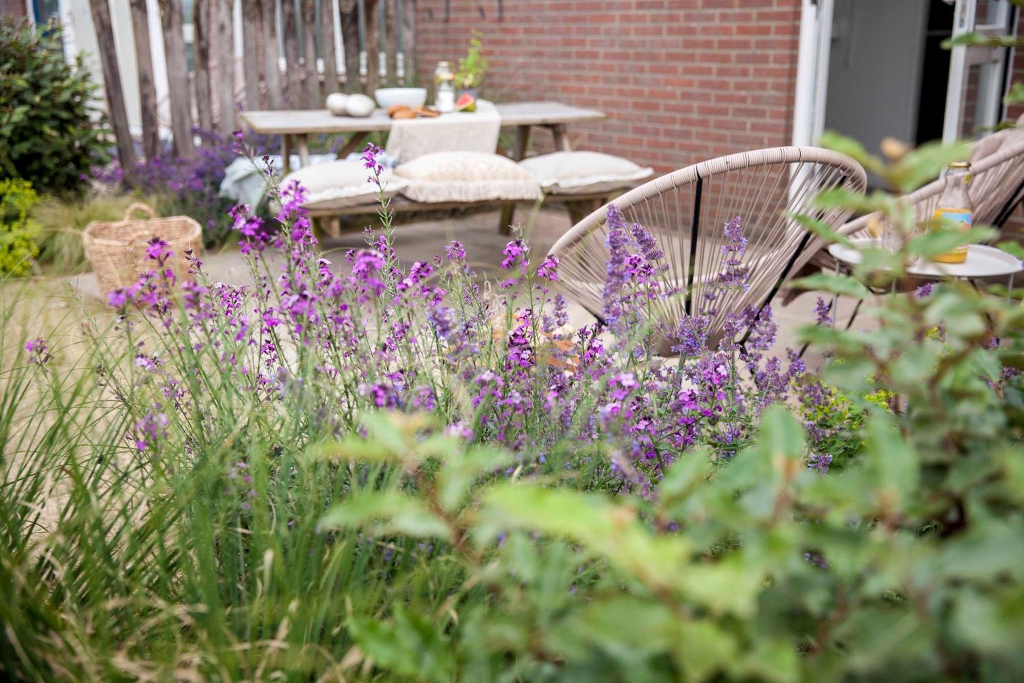 Vakantiehuisje Bloem 4 Personen Stolpen ภายนอก รูปภาพ